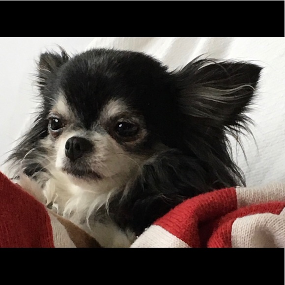 Meet your Posher, Lynn - Picture 1 of 1